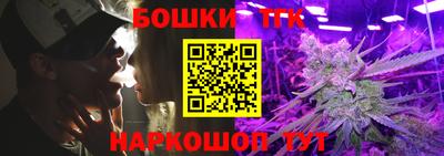 индика Будённовск